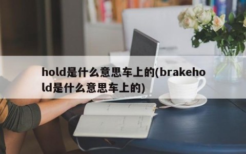 hold是什么意思车上的(brakehold是什么意思车上的)
